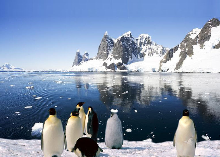 Антарктида фото 10