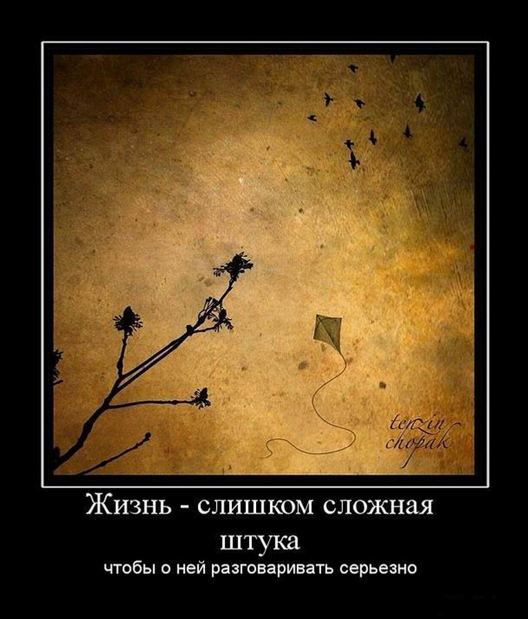 http://www.webcity.su/images/img/demotivators-about-life-4.jpg