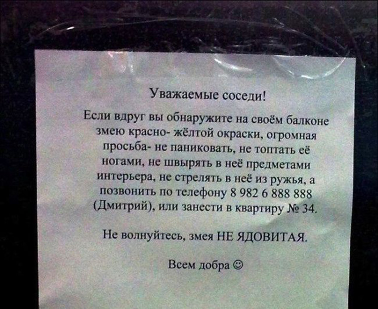 Записки соседям фото 8