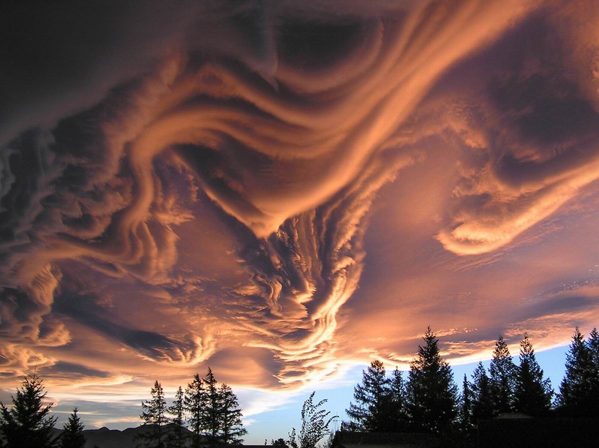 Страшные облака асператус. Фото 9