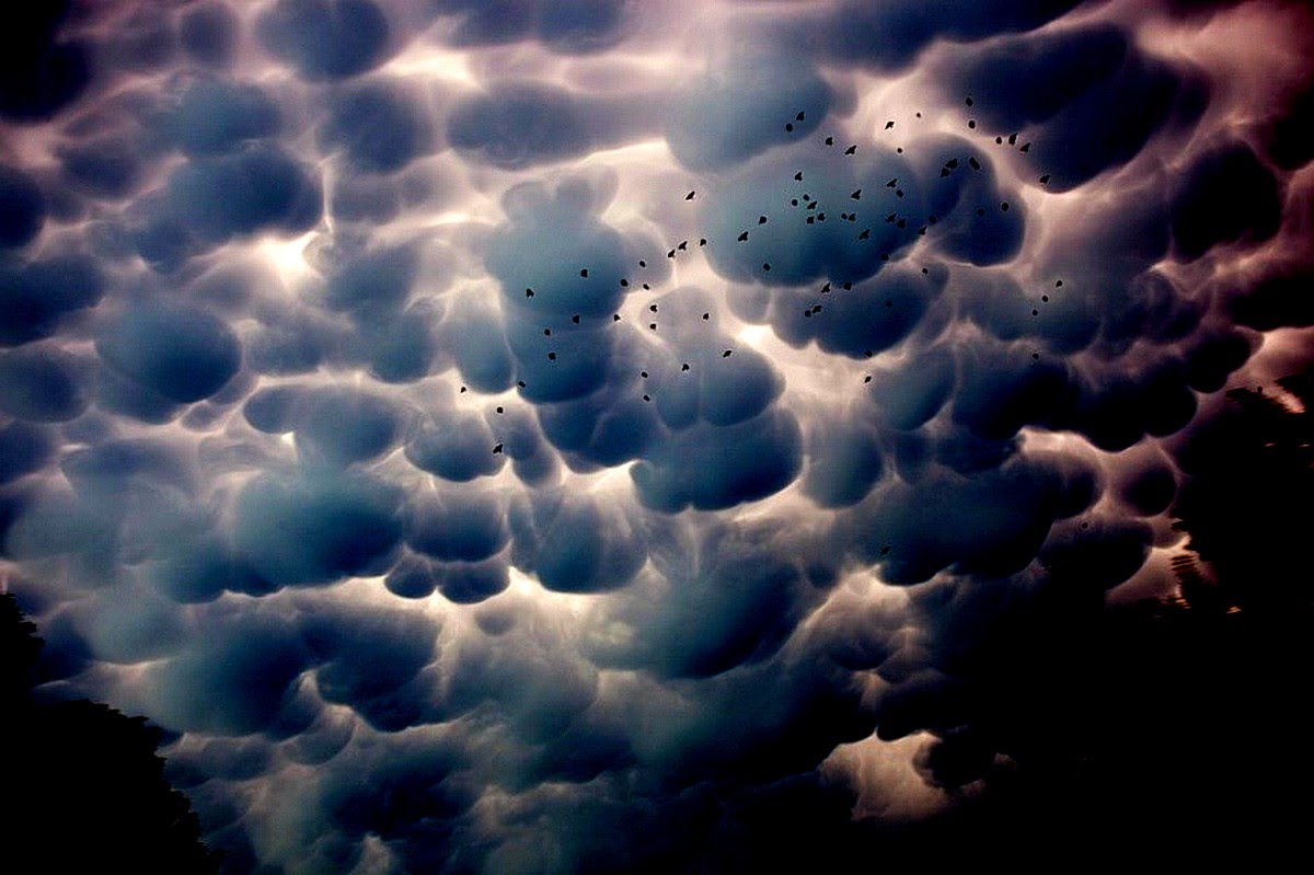Страшные облака асператус. Фото 26