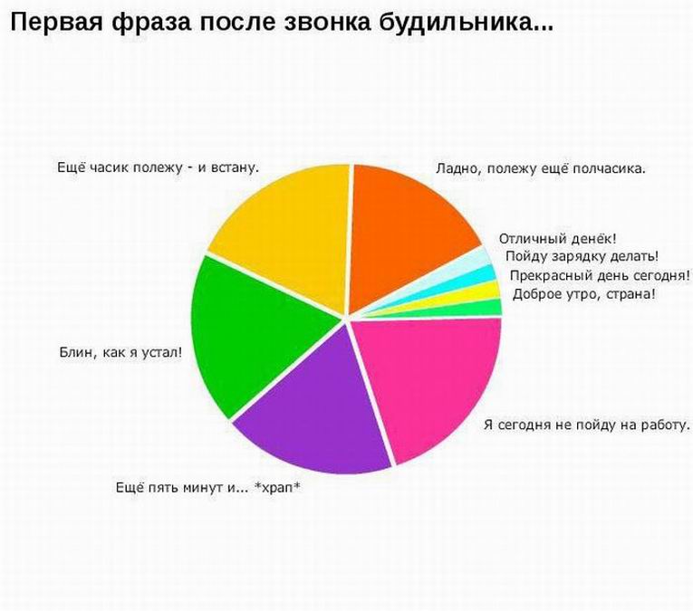 Социальная статистика фото 11