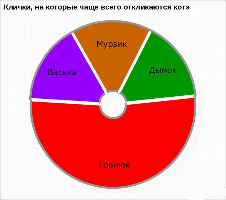 Социальная статистика фото 3