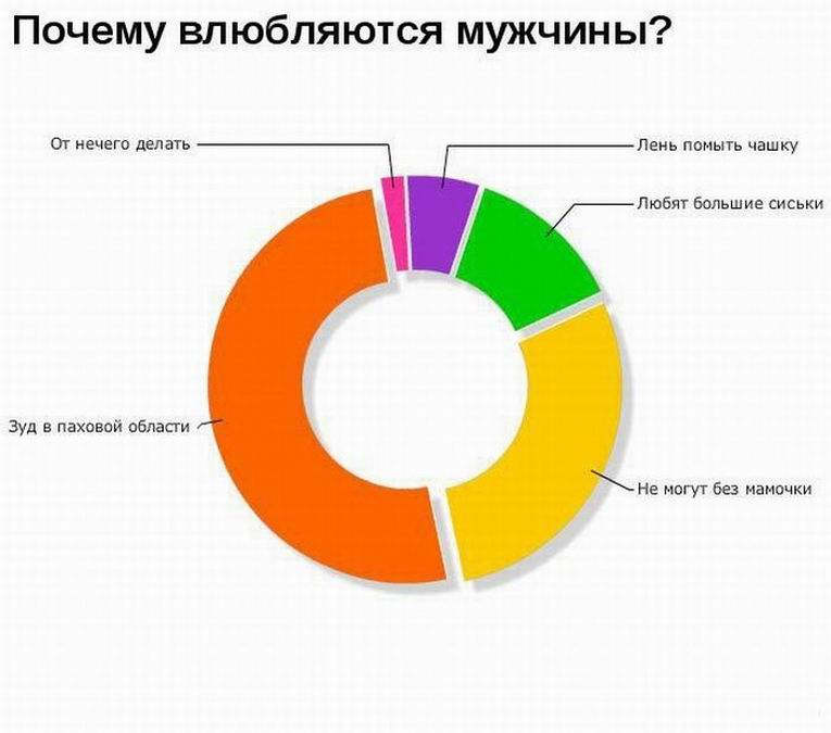 Социальная статистика фото 5